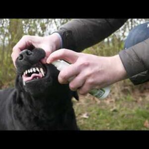 Excellent Pets Dental Oral Spray 150 ml