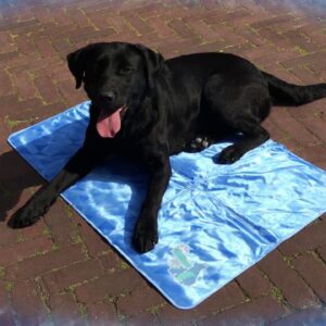 CoolPets Dog Mat 24/7 Anti-Slip Cover S