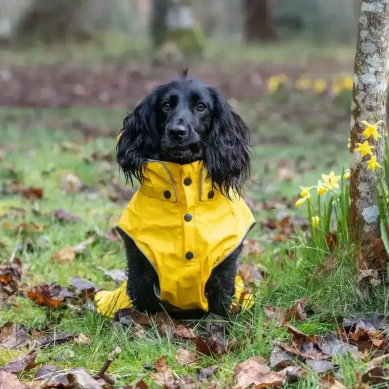 Stream Raincoat Maat 45