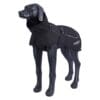 Duurzaam hondenjasje voor alle weersomstandigheden. Perfect voor stijlvolle, actieve honden.