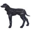 Hond jas zwart fleece met reflectie voor weerbestendige bescherming.