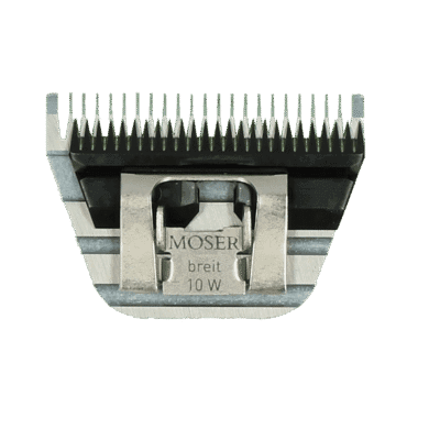 Kwaliteitsvolle honden- en kattenkammen bij Max & Willow Petshop, duurzame verzorgingsproducten.