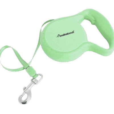 Lichtgroen hondentuig en looplijn, ideaal voor huisdierenliefhebbers.