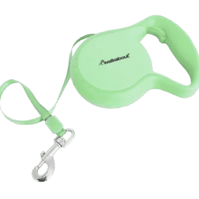 Lopenlijn hond. Lichte groen looplijn voor honden met clip en handvat.