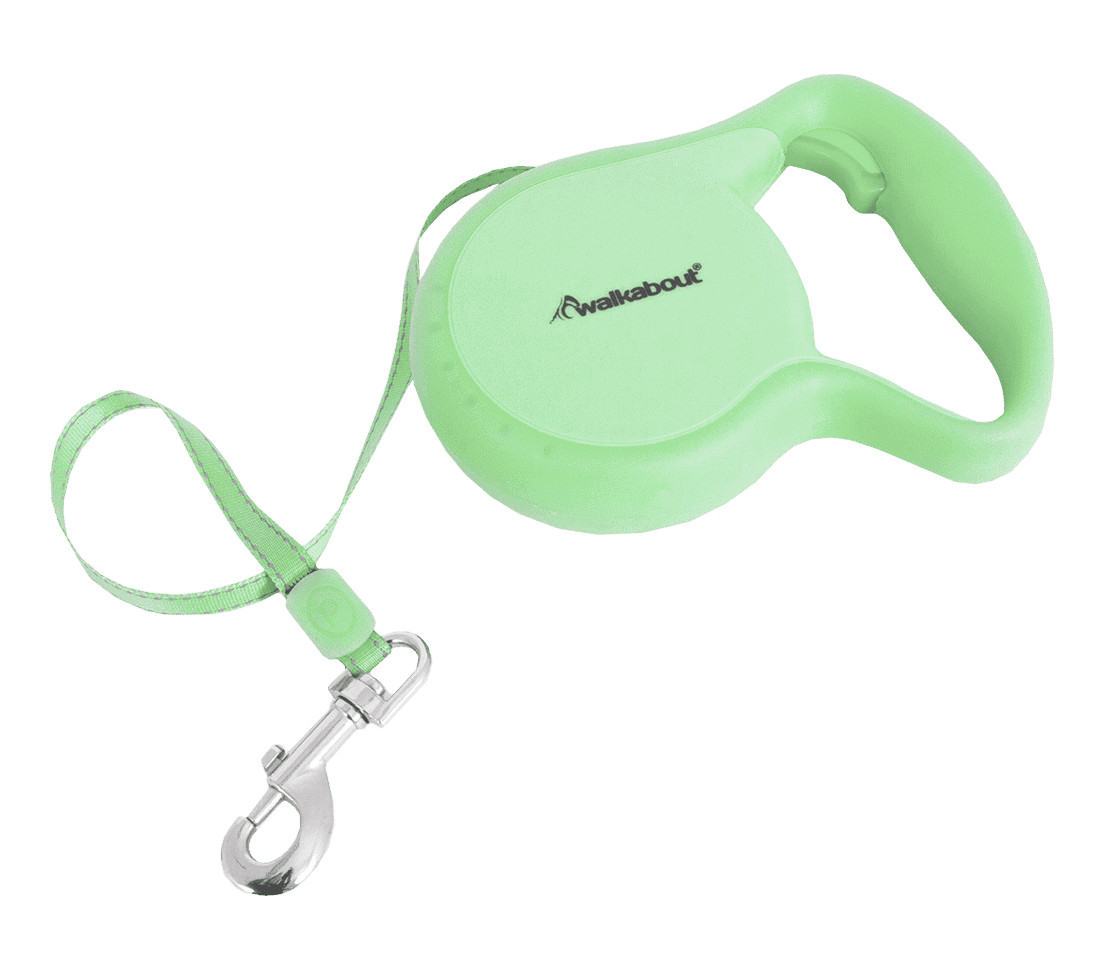 Lichte groen looplijn voor honden met clip en handvat.