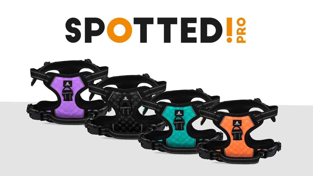 Spotted! Pro No Pull Harnas Paars XXS