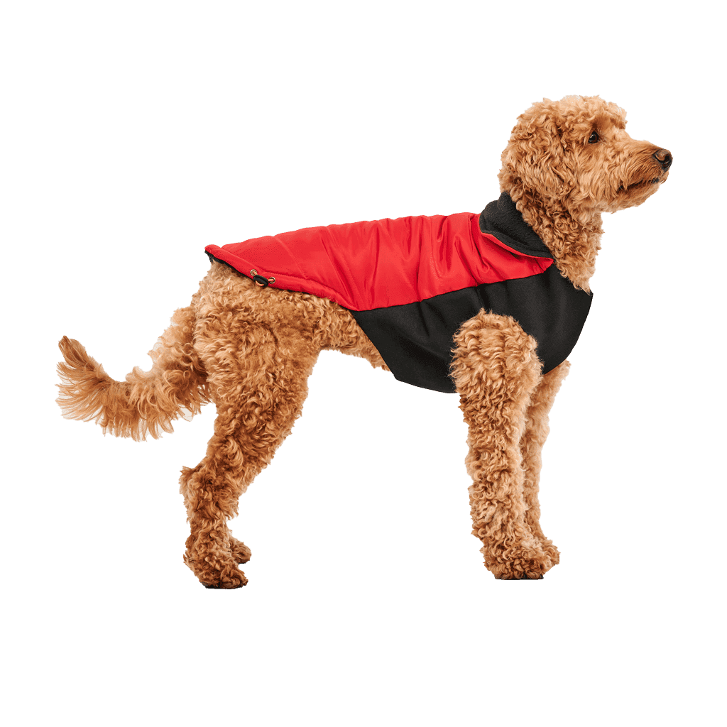 Goo-eez Mock Neck Signature Wrap Jacket XXL Rood/Zwart