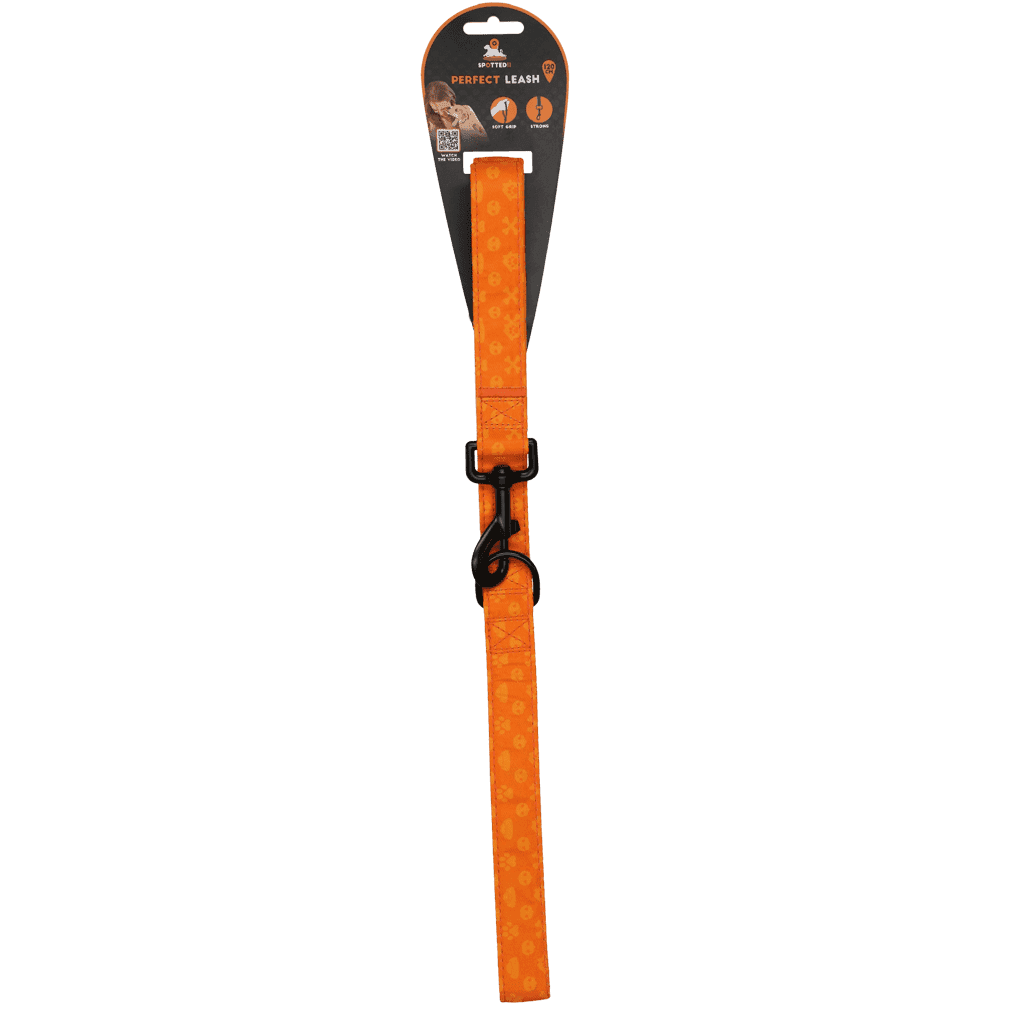 Spotted! Pro Perfect Leash 120 cm Oranje