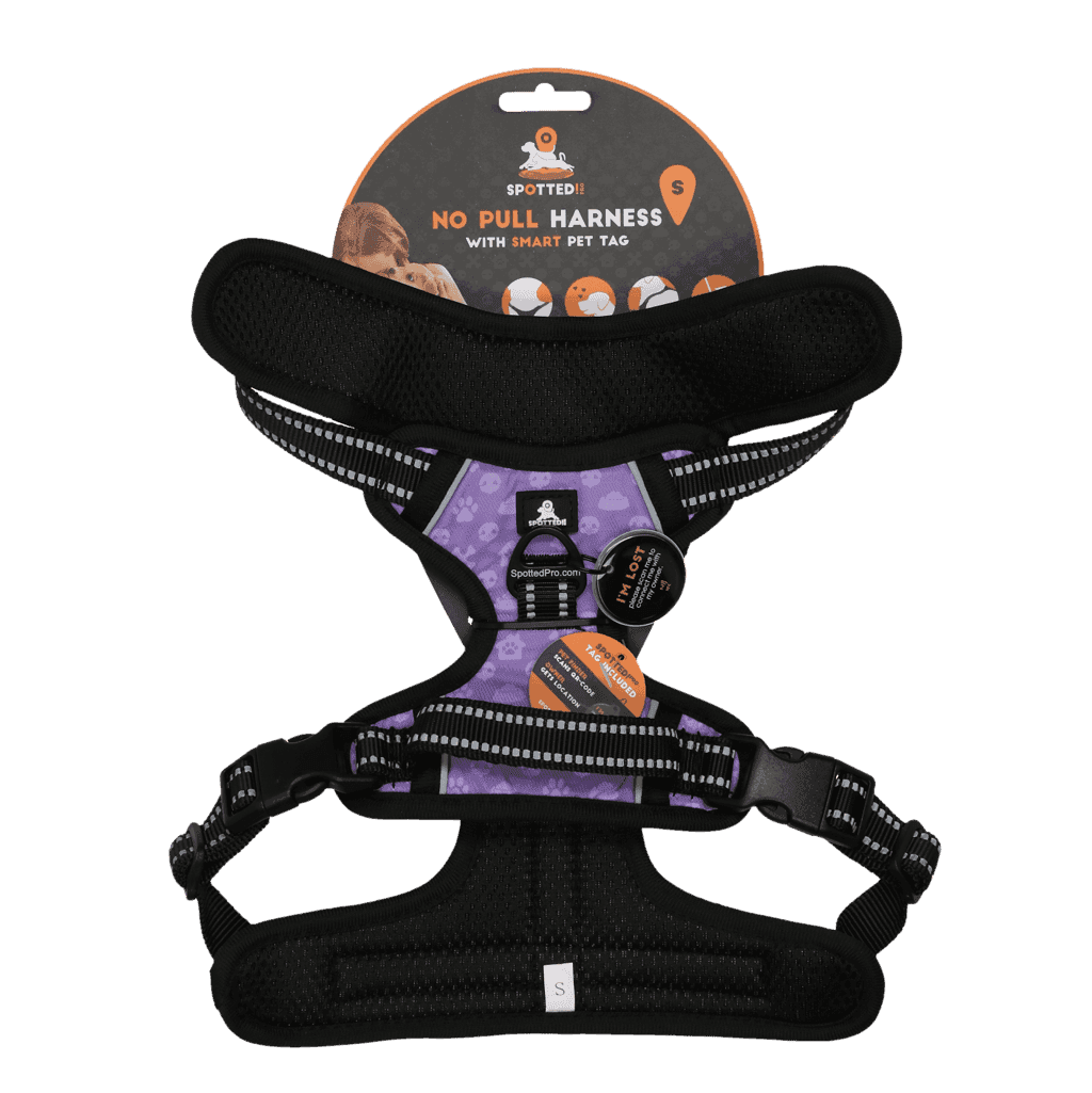 Spotted! Pro No Pull Harnas Paars S
