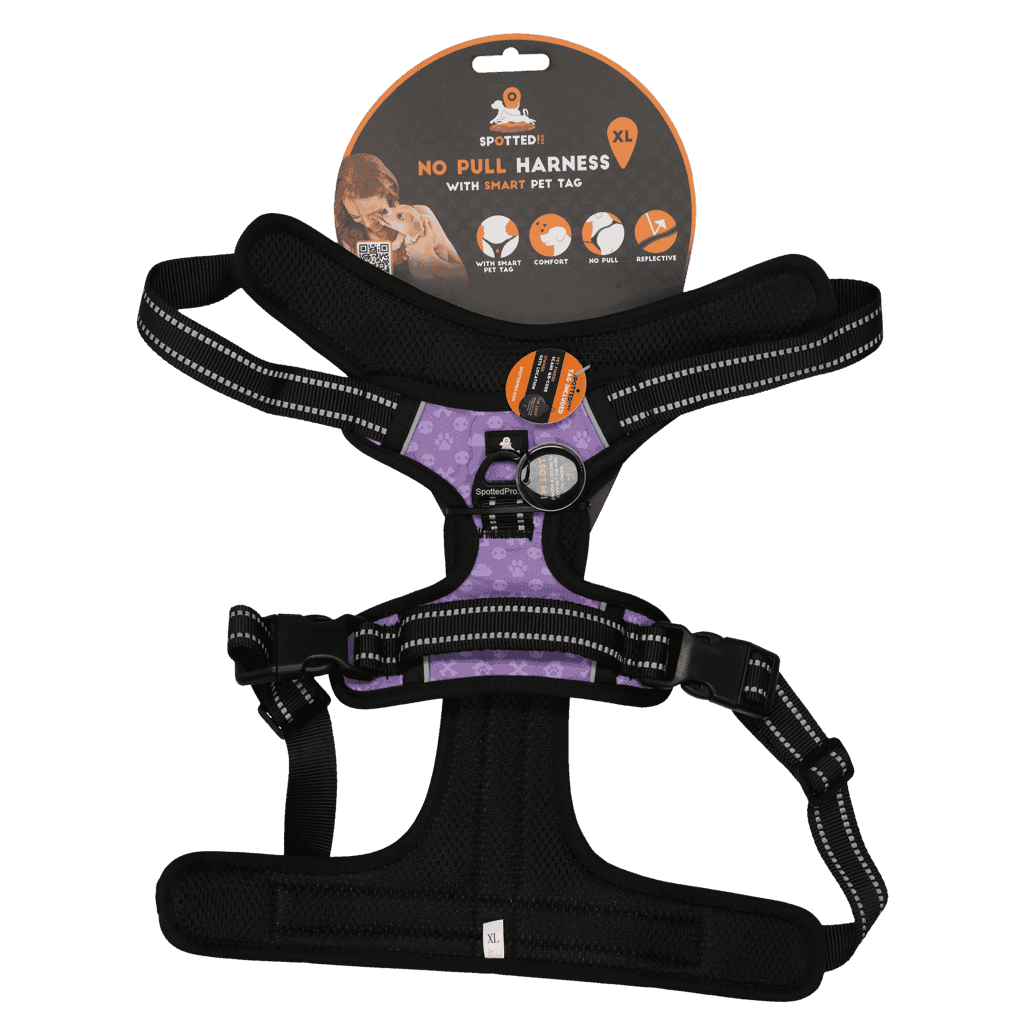 Spotted! Pro No Pull Harnas Paars XL