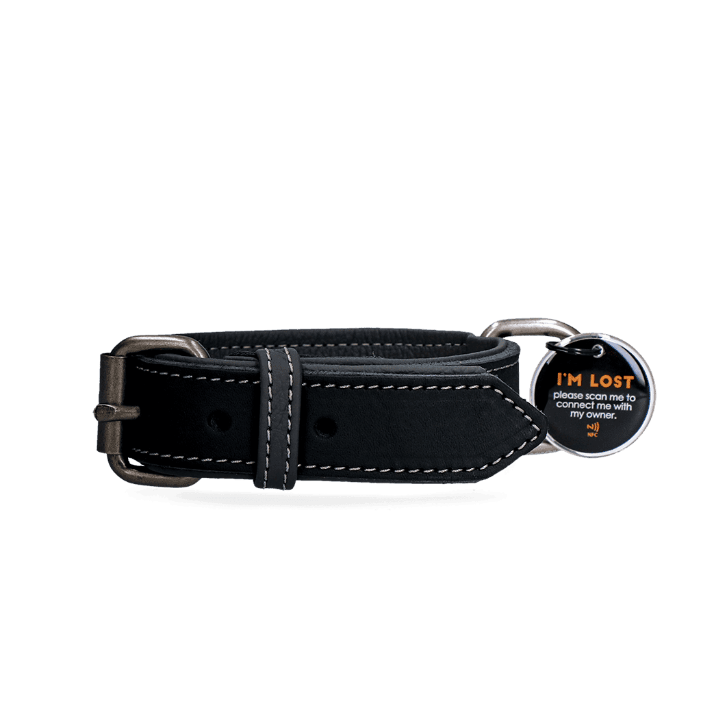 Spotted! Pro Leren Halsband Zwart 3 x 65 cm