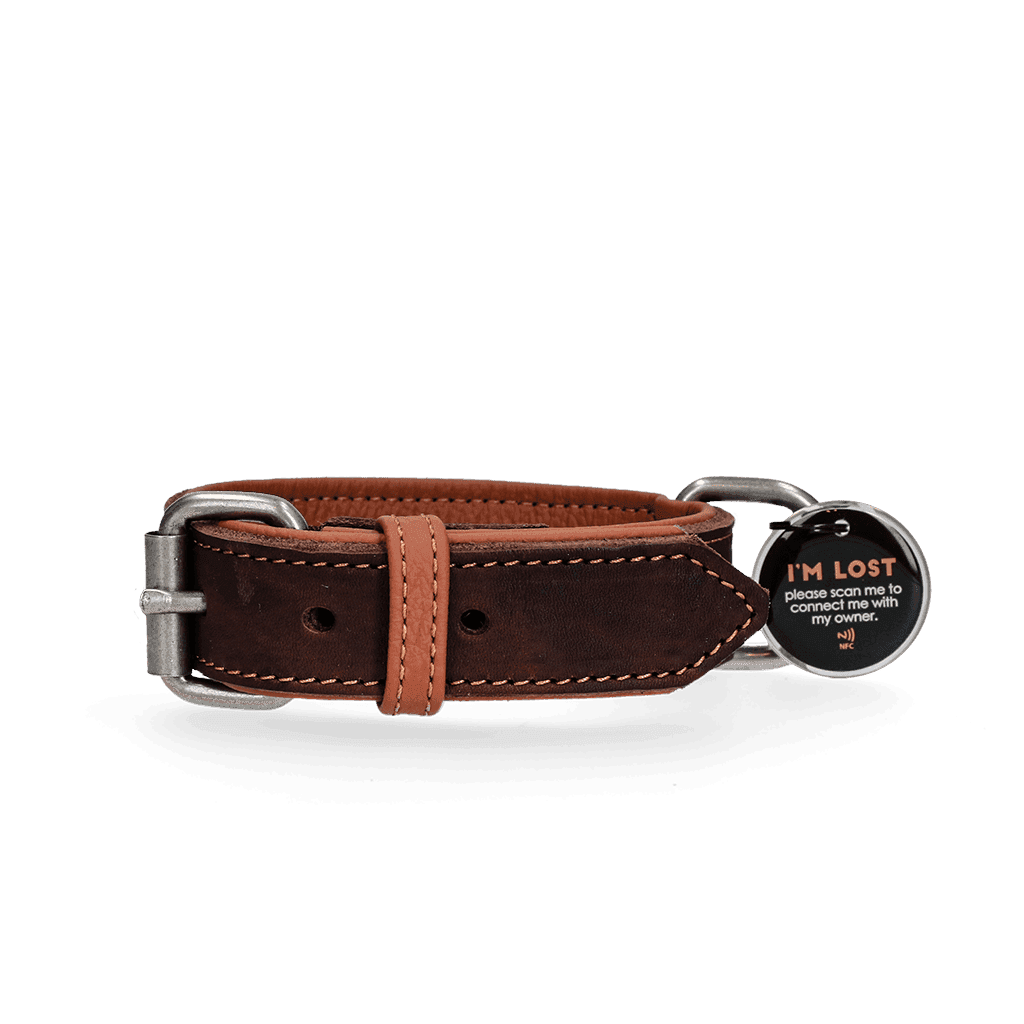 Spotted! Pro Leren Halsband Bruin 2,5 x 45 cm