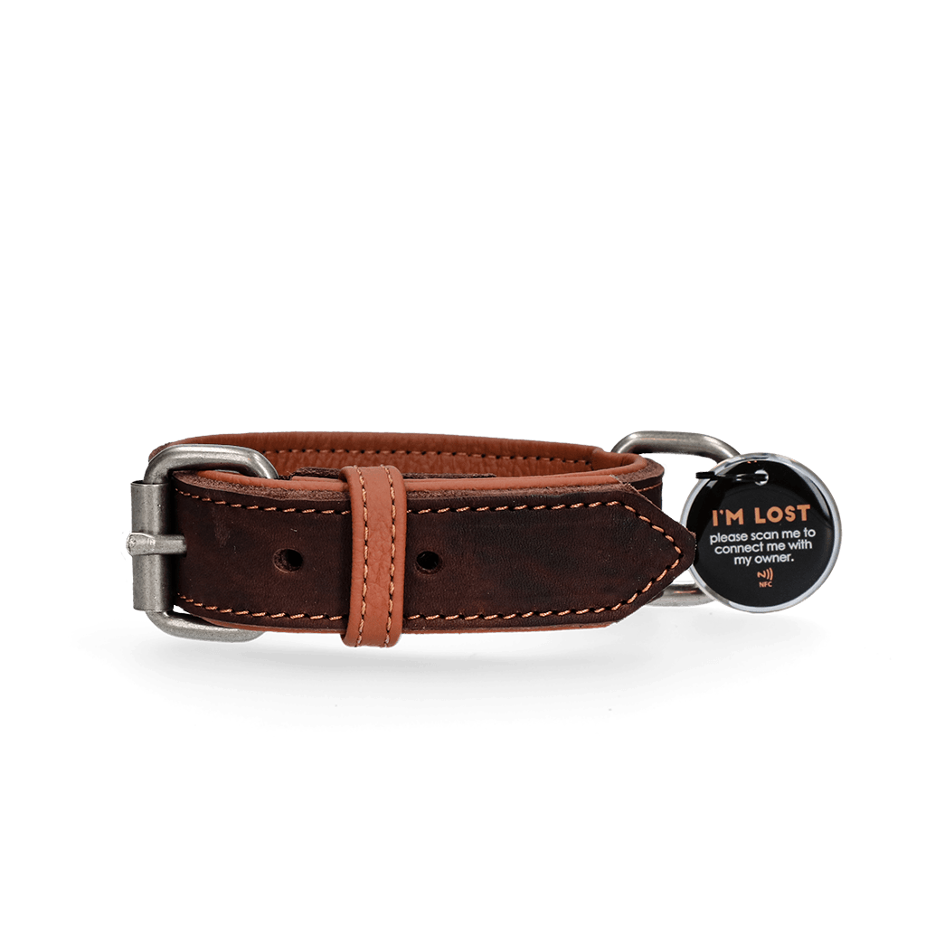 Spotted! Pro Leren Halsband Bruin 2,5 x 40 cm