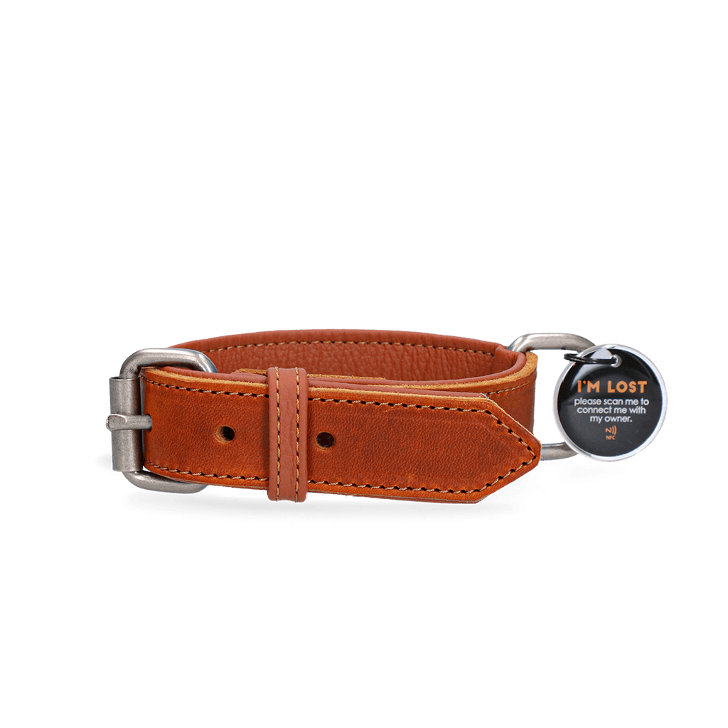 Spotted! Pro Leren Halsband Cognac 3 x 55 cm