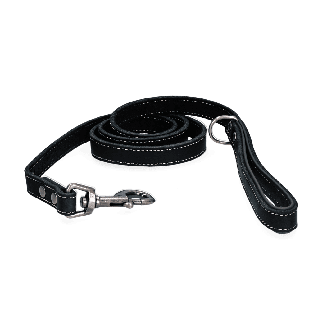 Spotted! Pro Leren Hondenlijn Zwart