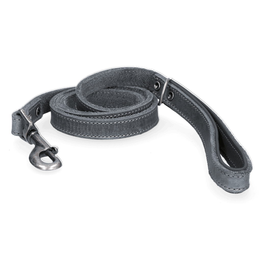 Spotted! Pro Leren Hondenlijn Grijs