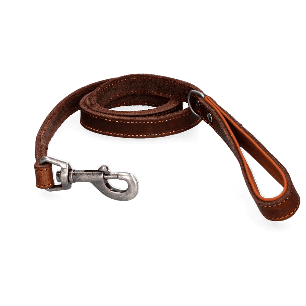 Spotted! Pro Leren Hondenlijn Bruin