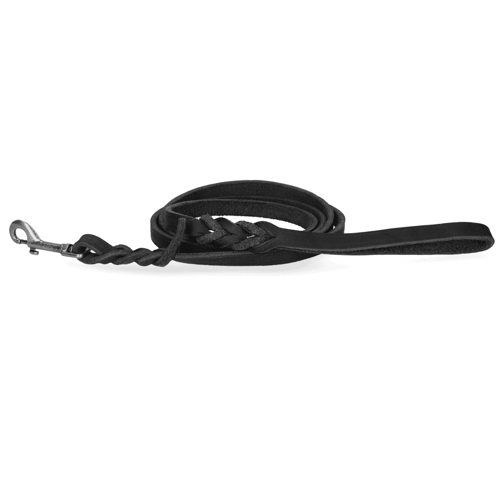 Spotted! Pro Leren Showlijn Zwart 1,2 x 180cm (Musketon)