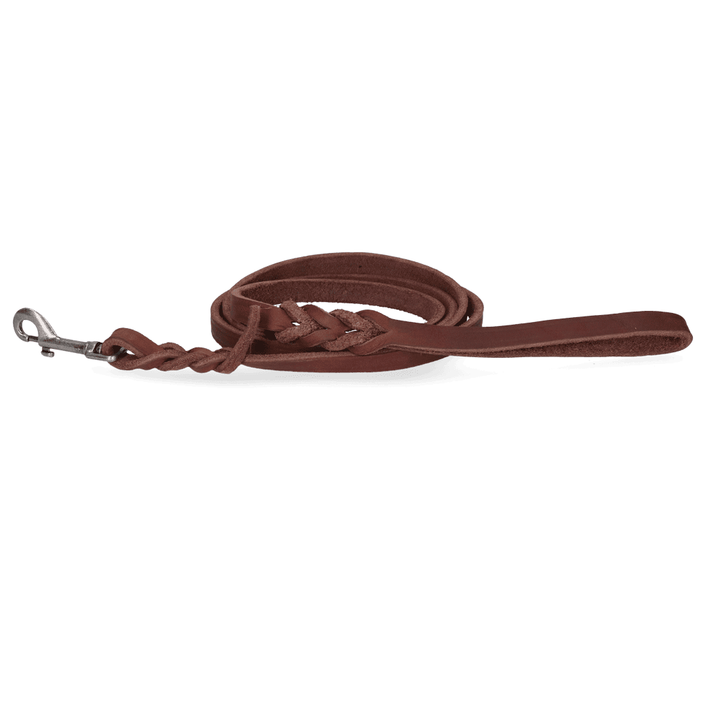 Spotted! Pro Leren Showlijn Bruin 1,6 x 180 cm (Musketon)