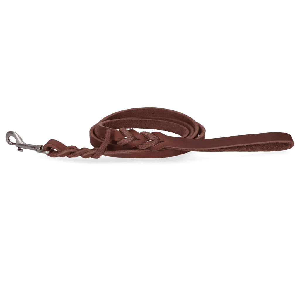 Spotted! Pro Leren Showlijn Bruin 1,8 x 180 cm (Musketon)