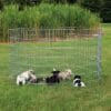 Trixie Natura Puppyren Gegalvaniseeerd Metaal 8 Panelen