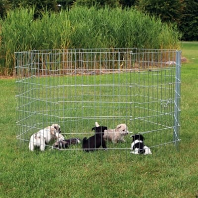 Trixie Natura Puppyren Gegalvaniseeerd Metaal 8 Panelen