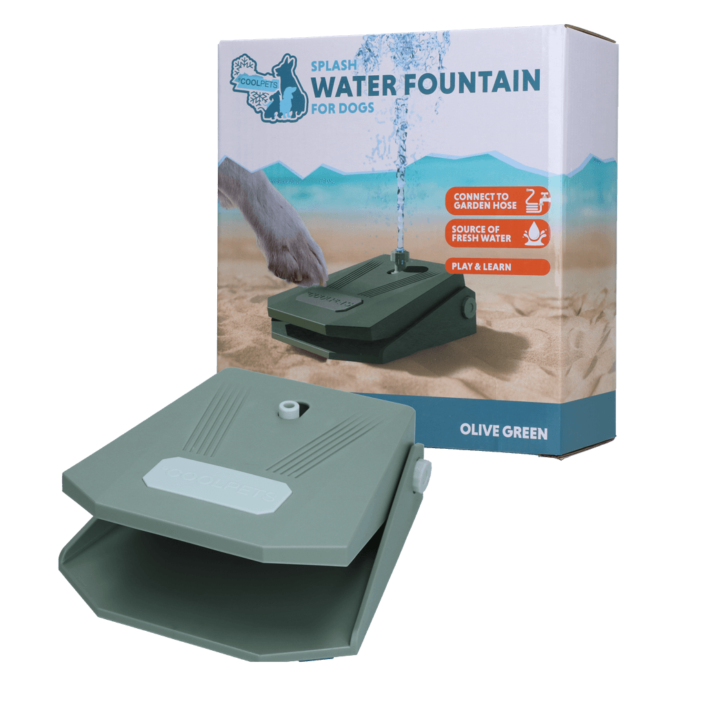 COOL010G.png Coolpets Splash Water Fountain
