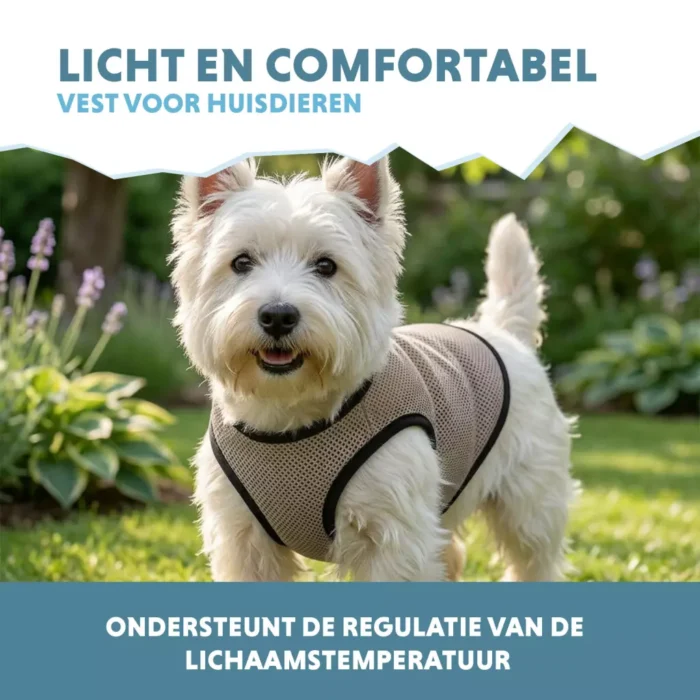 COOL034S_03-main Coolpets Cooling Vest