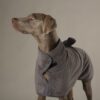 5060143667978_4 Scruffs Expedition Droogjas