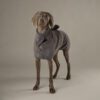 5060143667978_5 Scruffs Expedition Droogjas