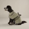 5060143668012_5 Scruffs Expedition Droogjas