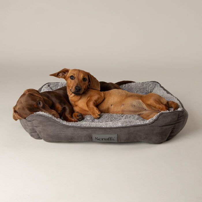 Scruffs Cosy Box Bed