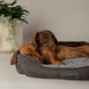 Scruffs Cosy Box Bed