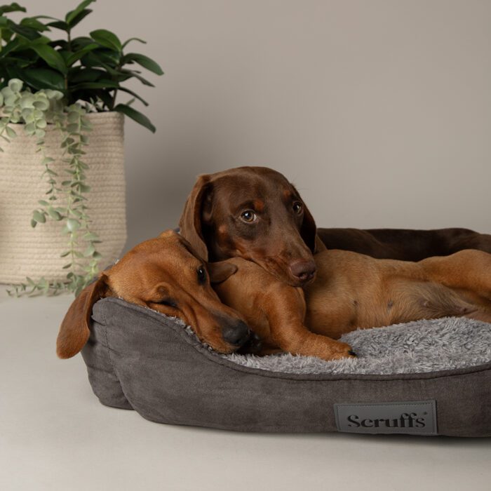 Scruffs Cosy Box Bed