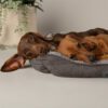 Scruffs Cosy Box Bed