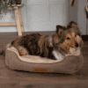 Scruffs Cosy Box Bed