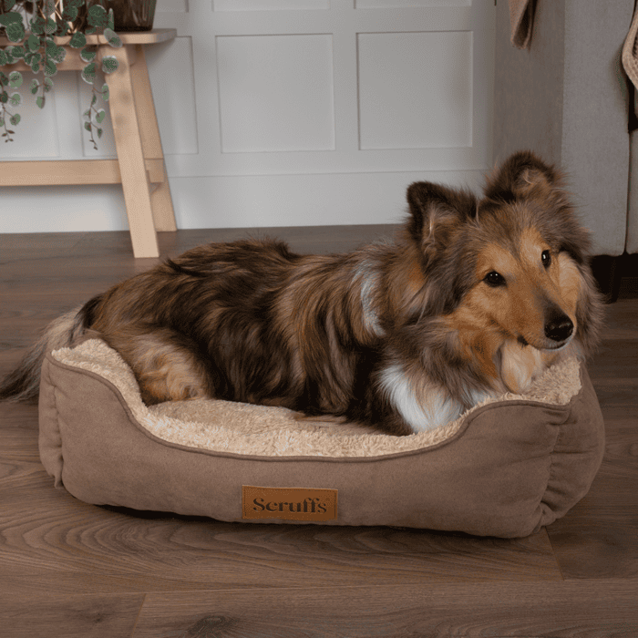 Scruffs Cosy Box Bed