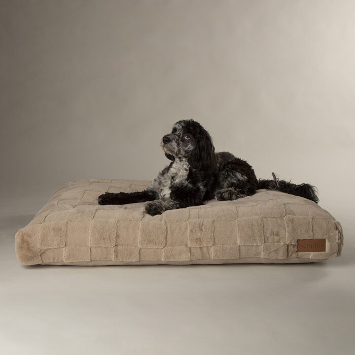 Scruffs Oxford Orthopedisch Matras
