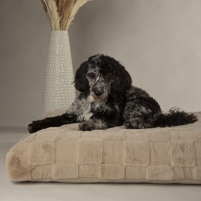 Scruffs Oxford Orthopedisch Matras
