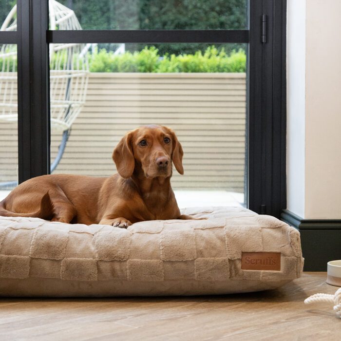 Scruffs Oxford Orthopedisch Matras