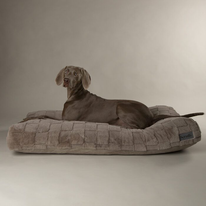 Scruffs Oxford Orthopedisch Matras