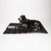 826299_2 Scruffs Expedition Roll Up Reisbed