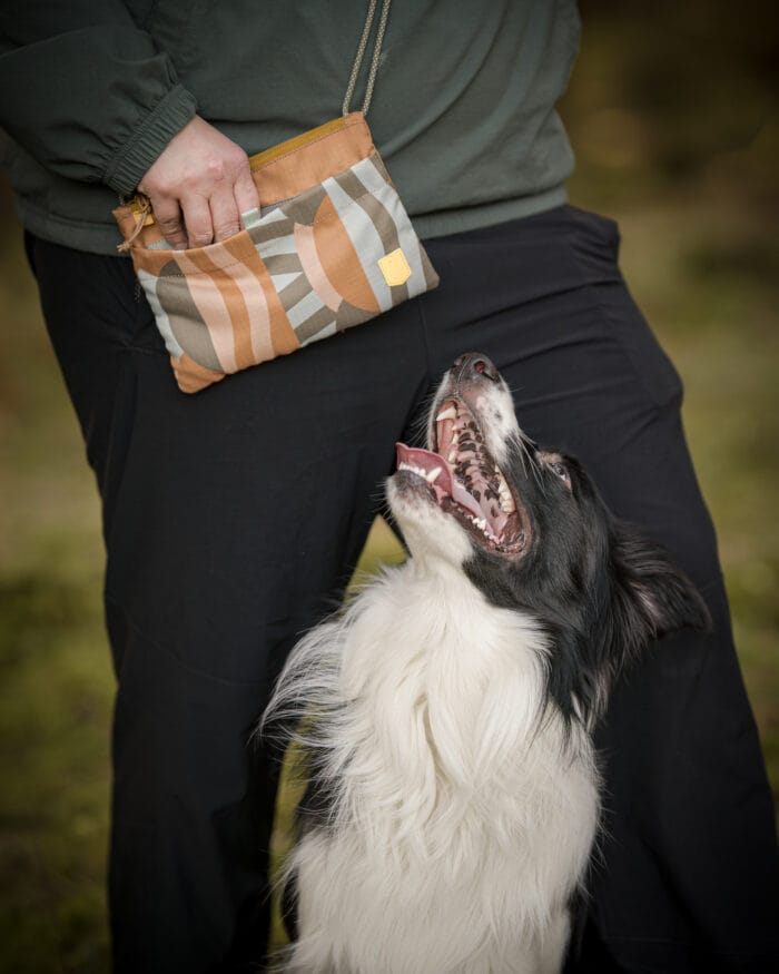 Cloudbeam-Accessory-Bag-ABCLB359-10 Woolly Wolf Cloudbeam Accessory Bag