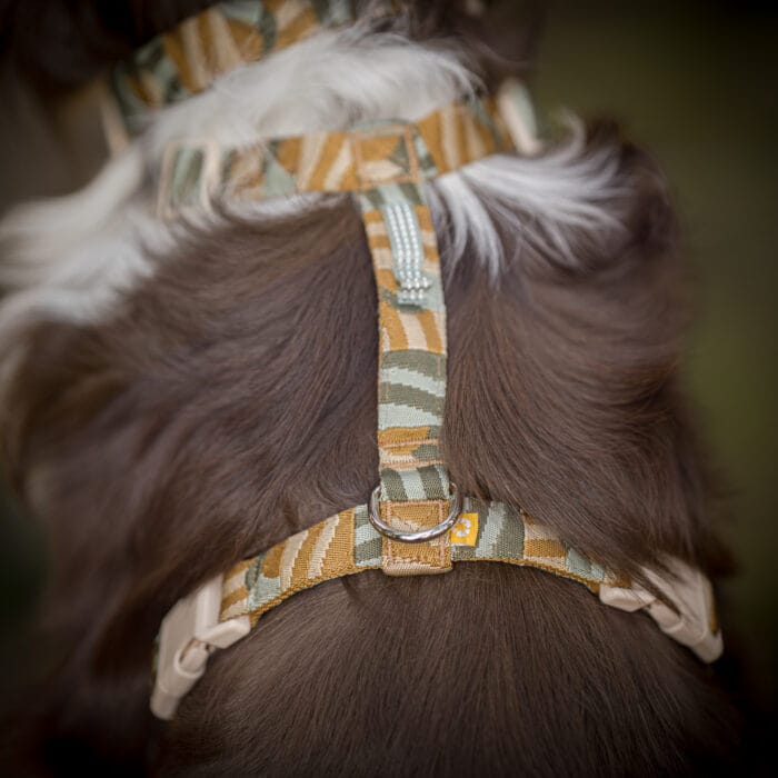 Cloudbeam-Harness-HRNSCLB-HRNSCLB359-L-HRNSCLB359-M-HRNSCLB359-S-HRNSCLB359-XS-HRNSCLB359-XXS-5 Woolly Wolf Cloudbeam Harness