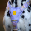 Woolly Wolf Sunshower Harness