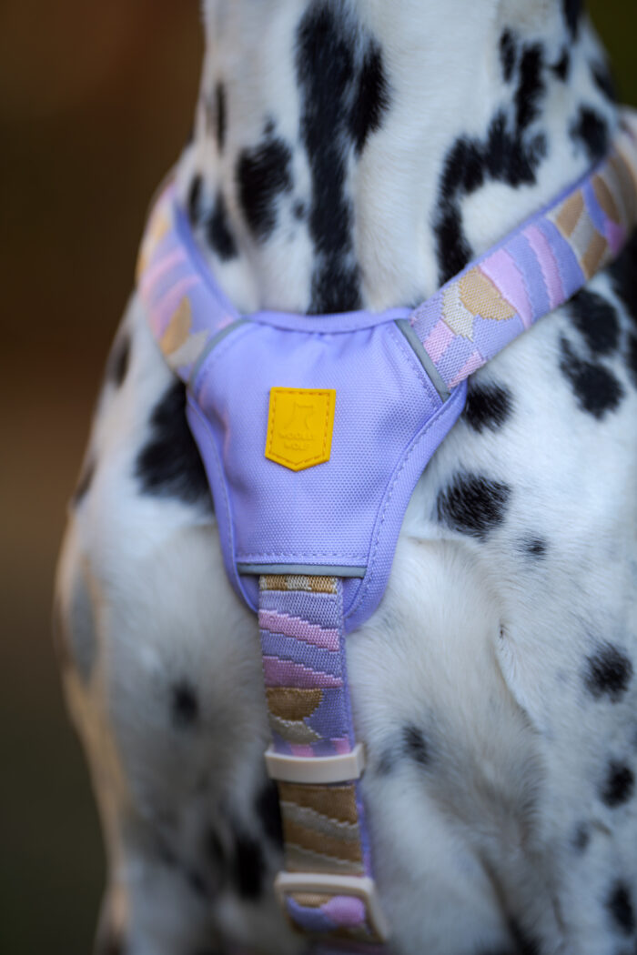 Woolly Wolf Sunshower Harness