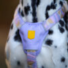 Woolly Wolf Sunshower Harness
