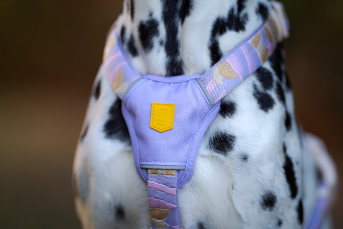 Woolly Wolf Sunshower Harness