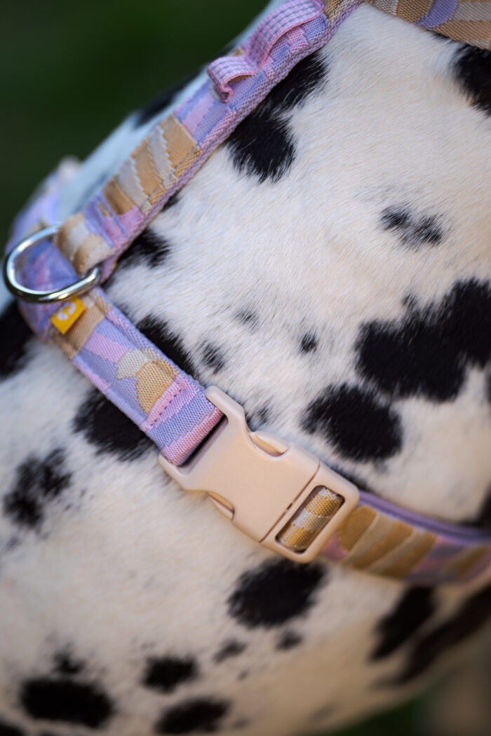 Woolly Wolf Sunshower Harness