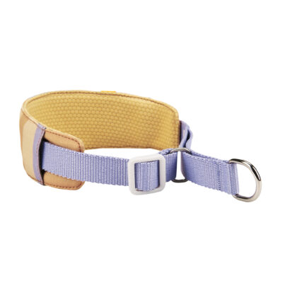 Woolly Wolf Sunshower Soft Martingale Collar